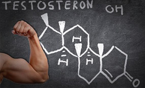 testosterone